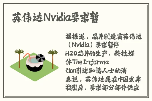 成人高清炮